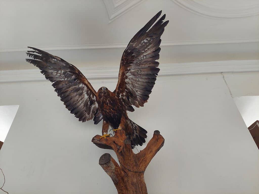 Palace Grounds & Views