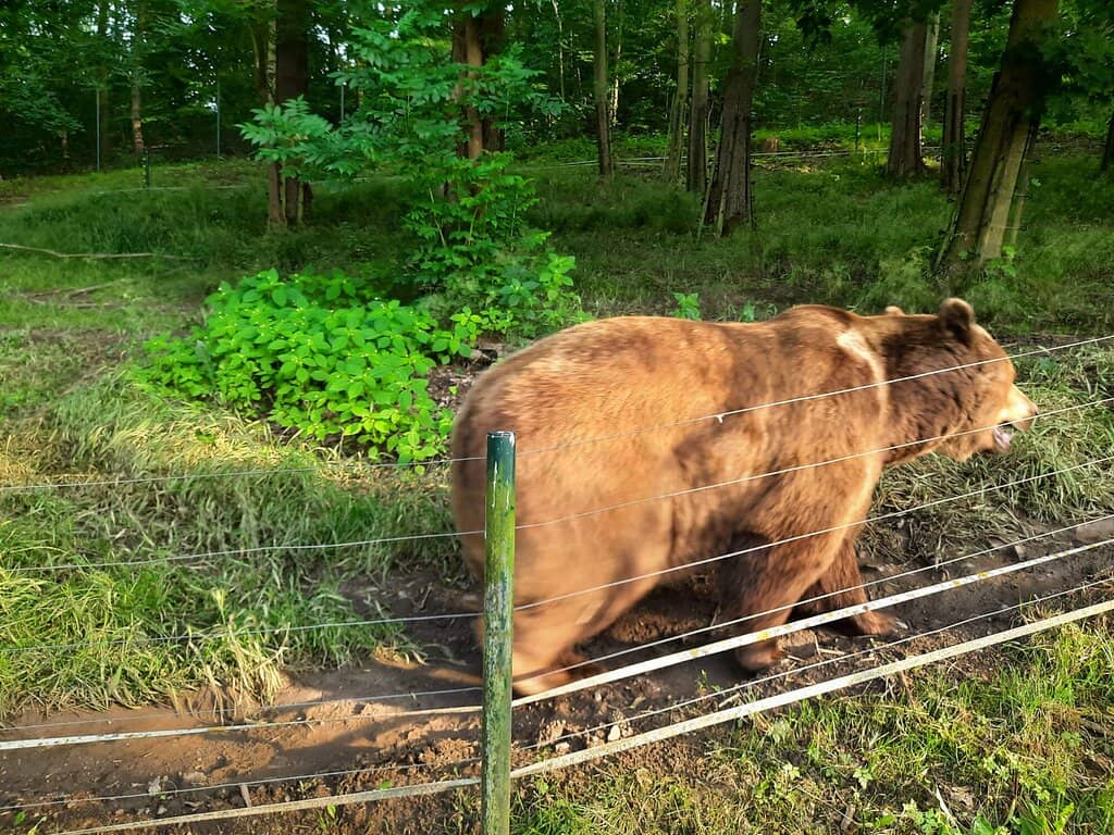 Kid-Friendly Playground