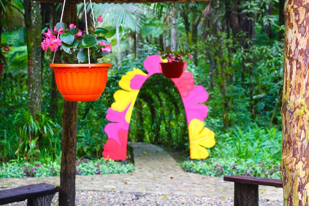 Botanical Gardens & Caves