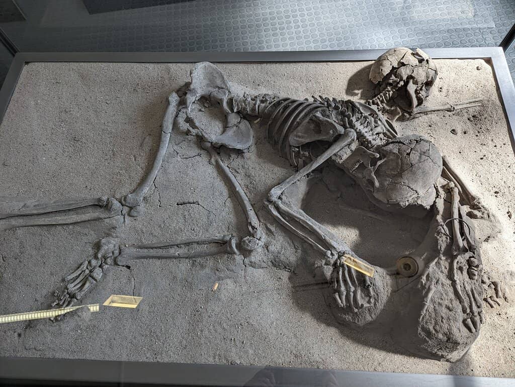 Martin Luther's Manuscripts