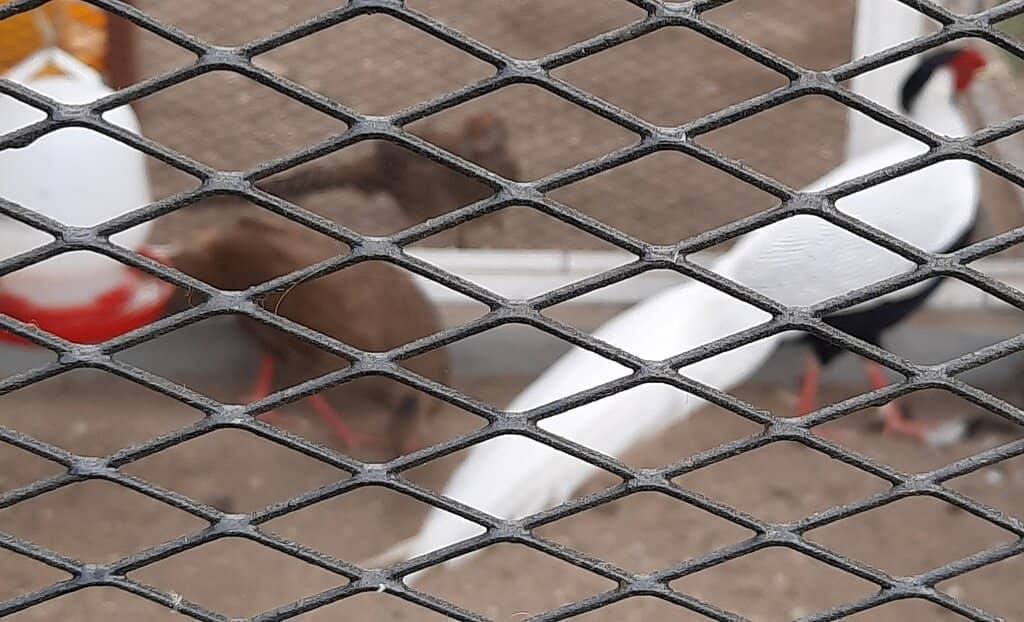 Hands-On Farming Activities