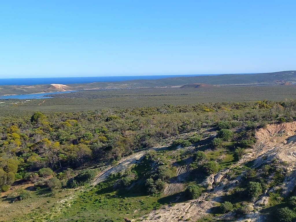 Local Wildlife Spotting