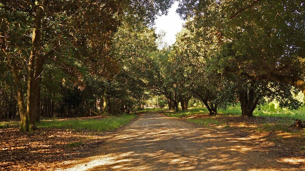 Seasonal Celebrations