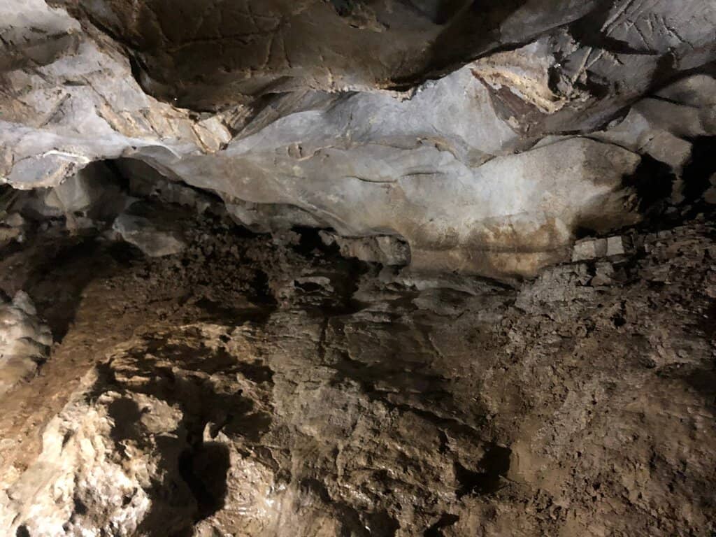 Refreshing Shaved Ice