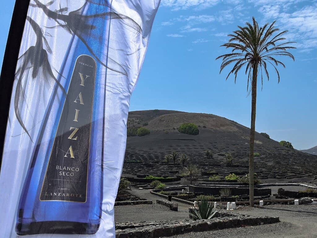 Authentic Bodega Atmosphere