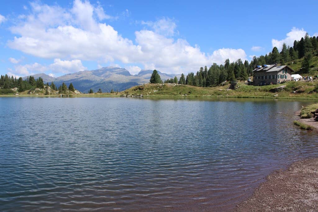 Paneveggio Forest Trail