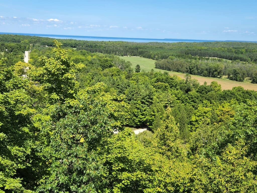 Historic Fire Tower Climb