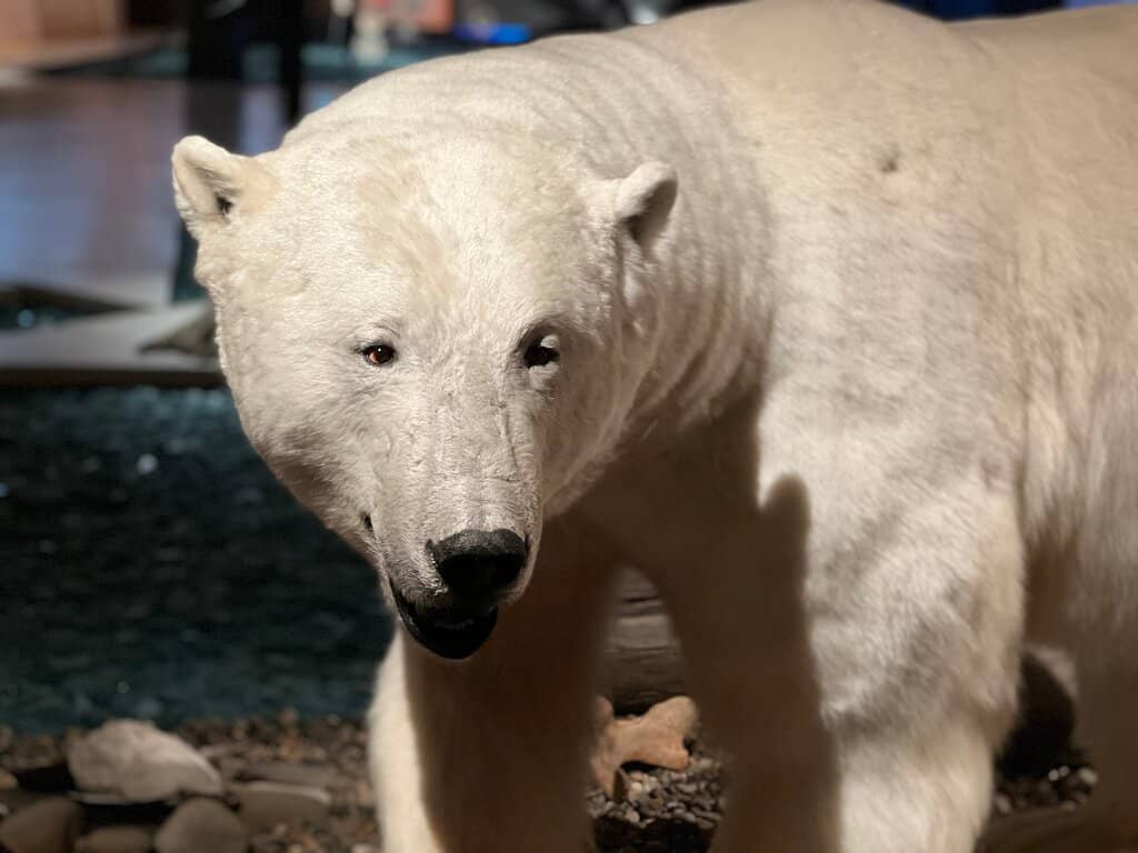 The Historic Airship Mast
