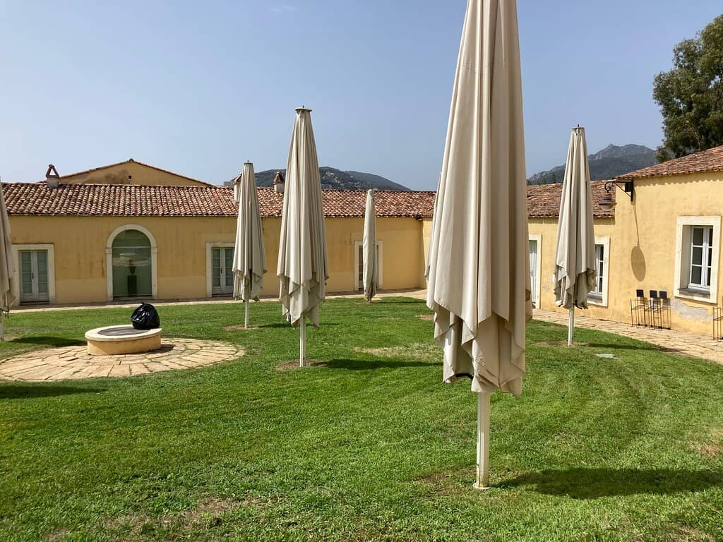 Marc Petit's Bronzes