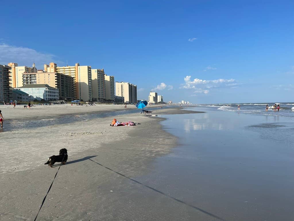 Inlet Point Plantation Stables