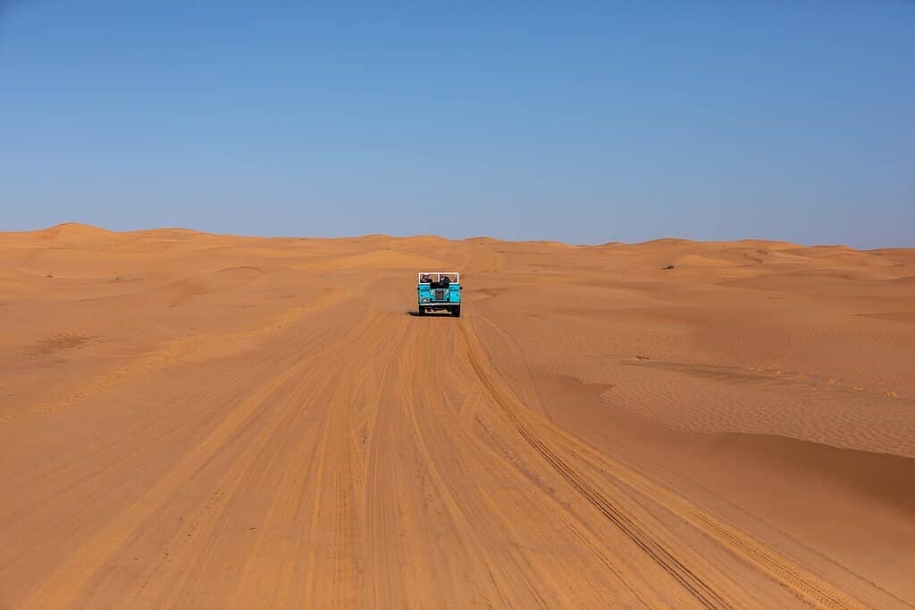 Falconry Demonstration