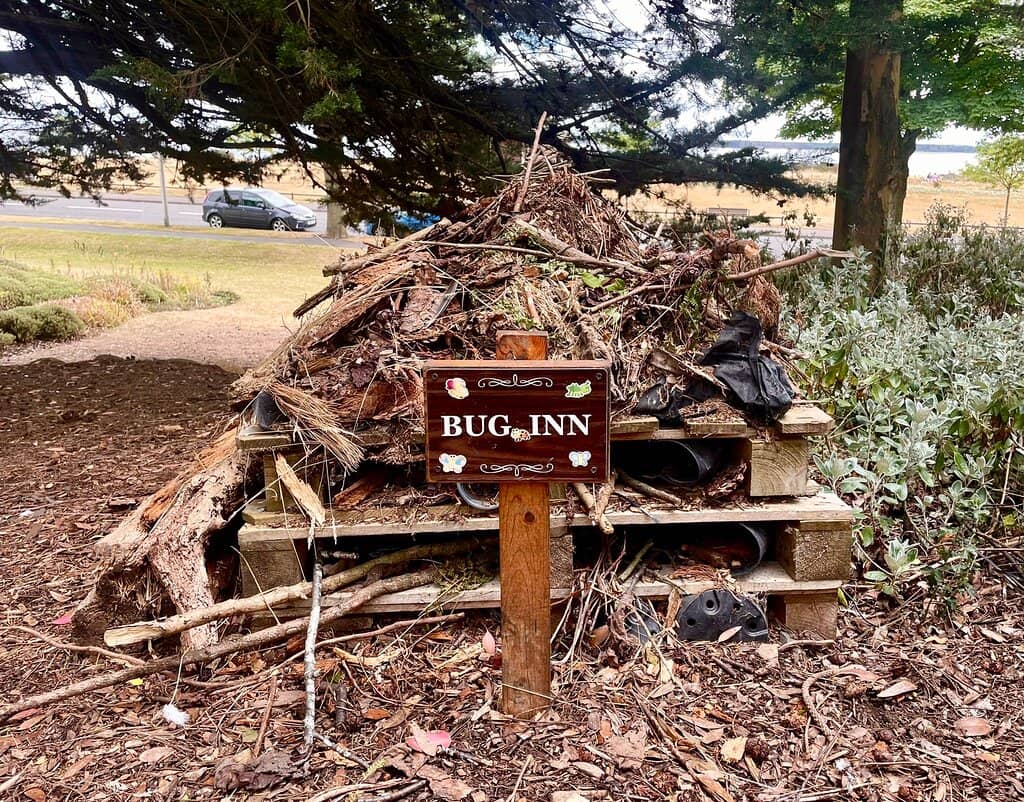 Tranquil Rock Garden