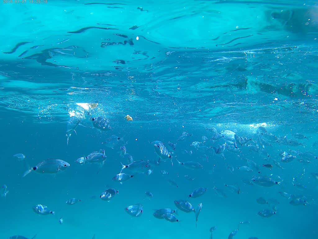 Natural Pools of Molara