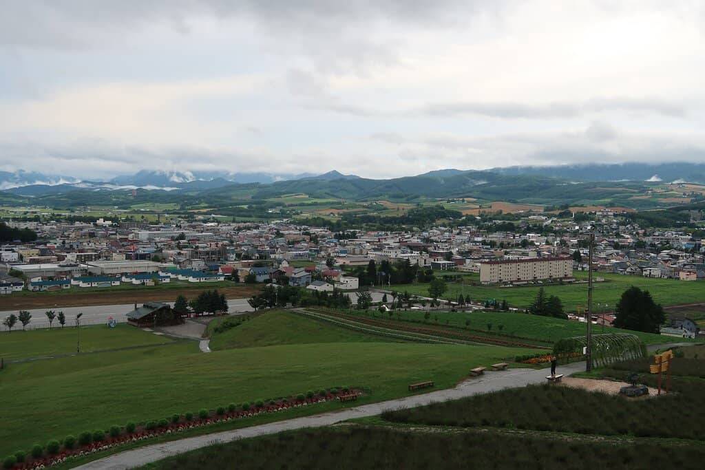 Vast Lavender Fields