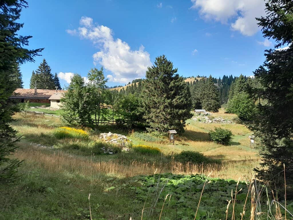 Scenic Trekking Routes