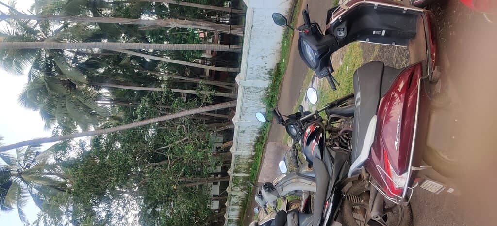 Illuminated Grandeur