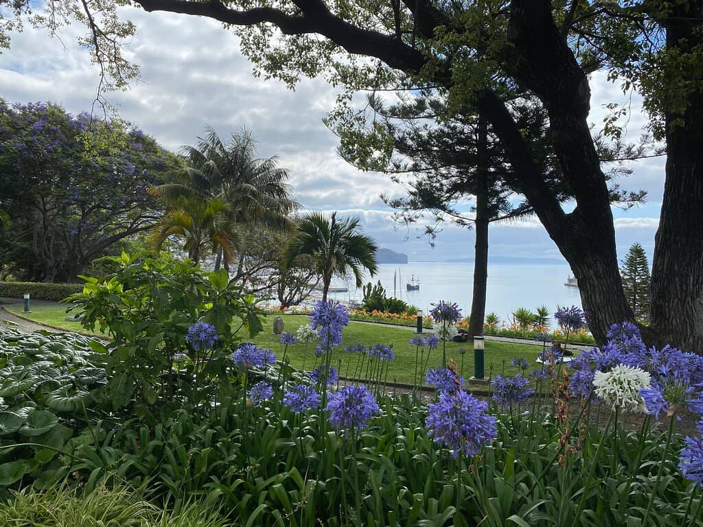 Diverse Flora & Gardens