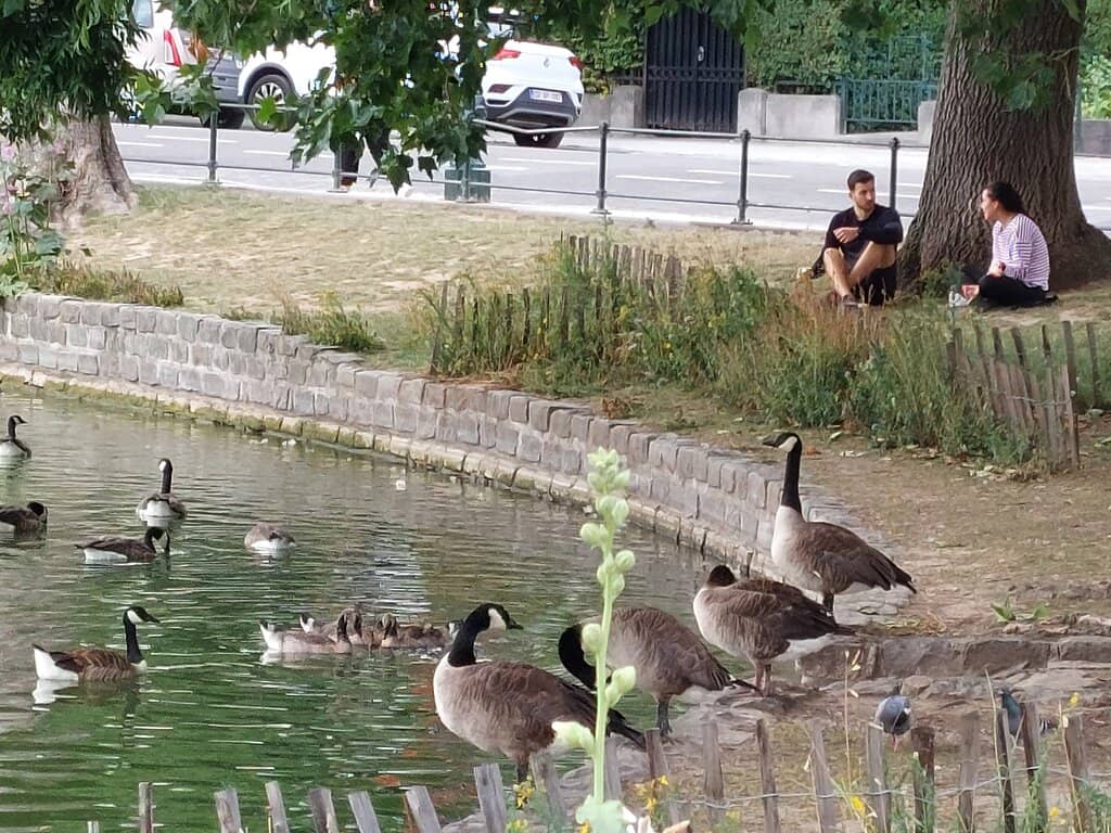 Rotisserie Chicken Truck