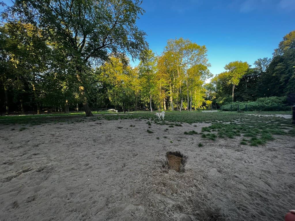 Playgrounds and Open Spaces