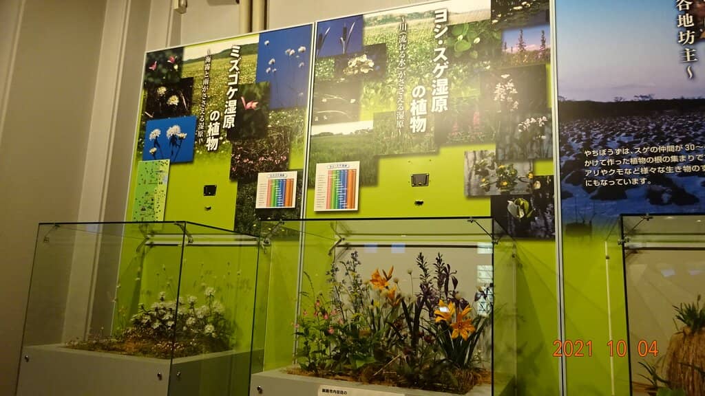 Wetland Boardwalk Trails