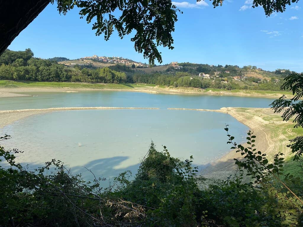 Adventure Park Thrills