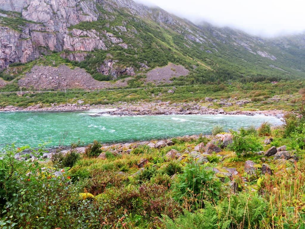 Diverse Natural Landscape