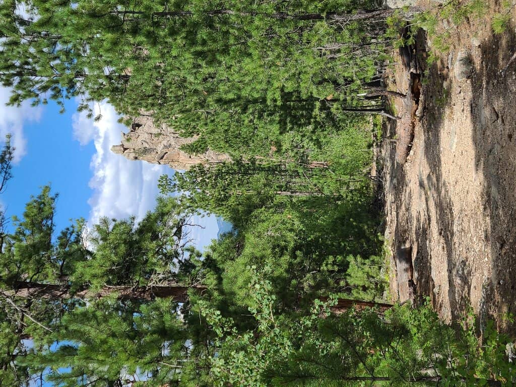 Scenic Lake Views