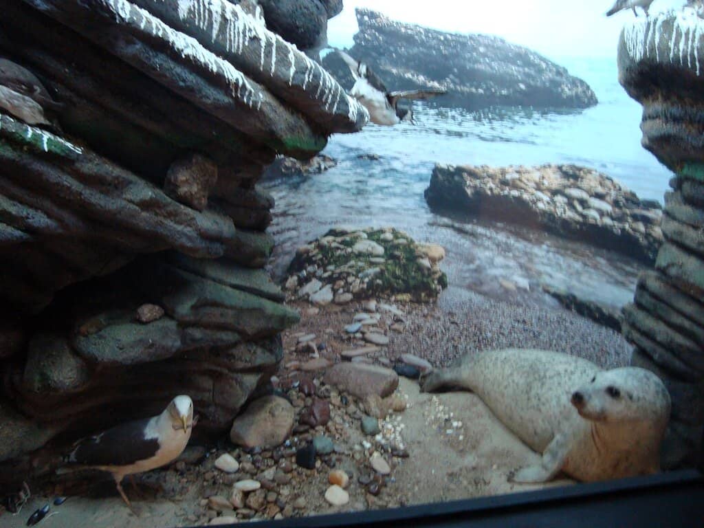 Digital Fresco Exhibition