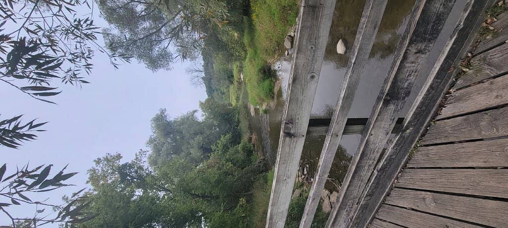 Butterfly & Hummingbird Garden