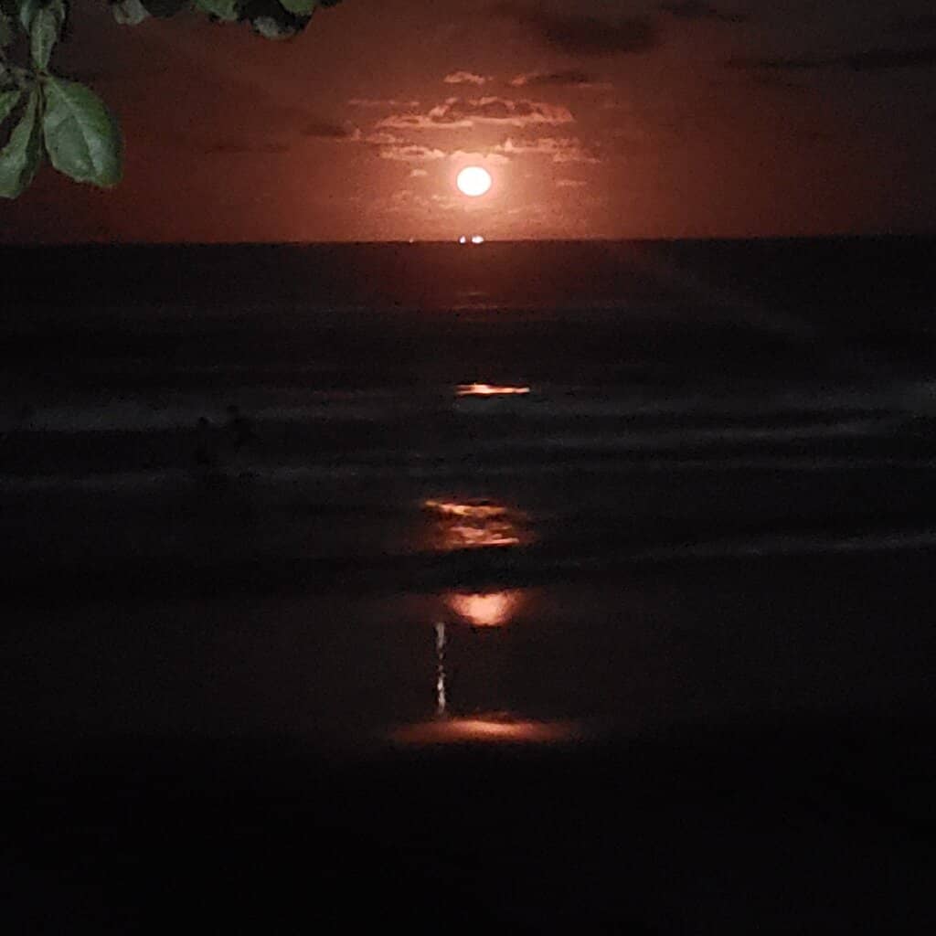 Rocky Seating & Views