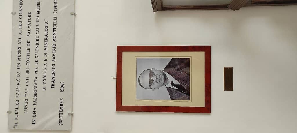 Extensive Mineral Collection