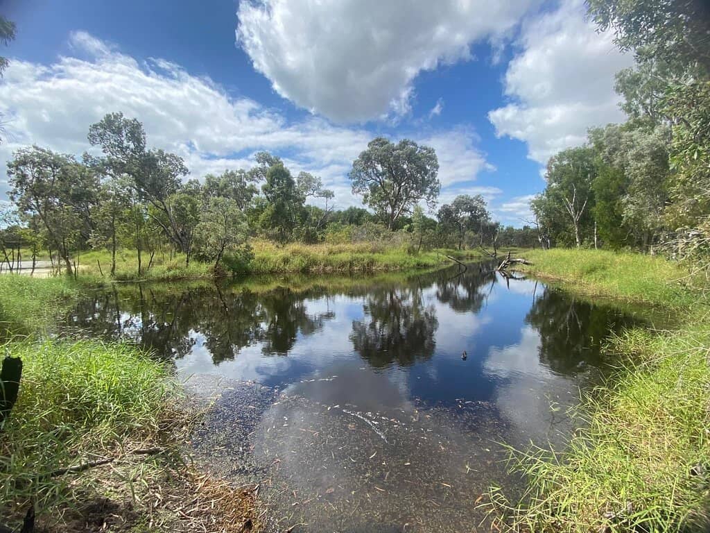 Croc Spotting (from a safe distance!)