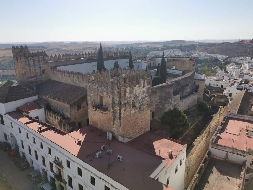 Sunday Collector's Market