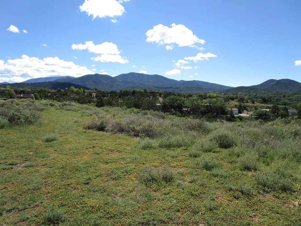 Family & Pet-Friendly Recreation