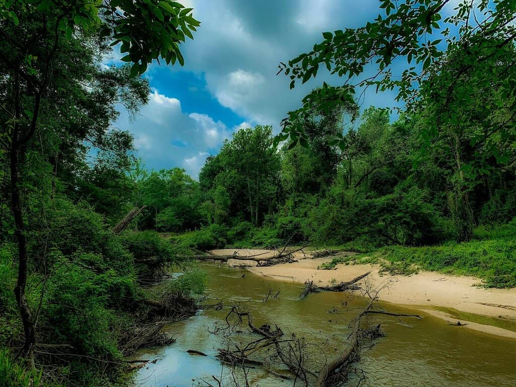 Panther Branch Creek Access