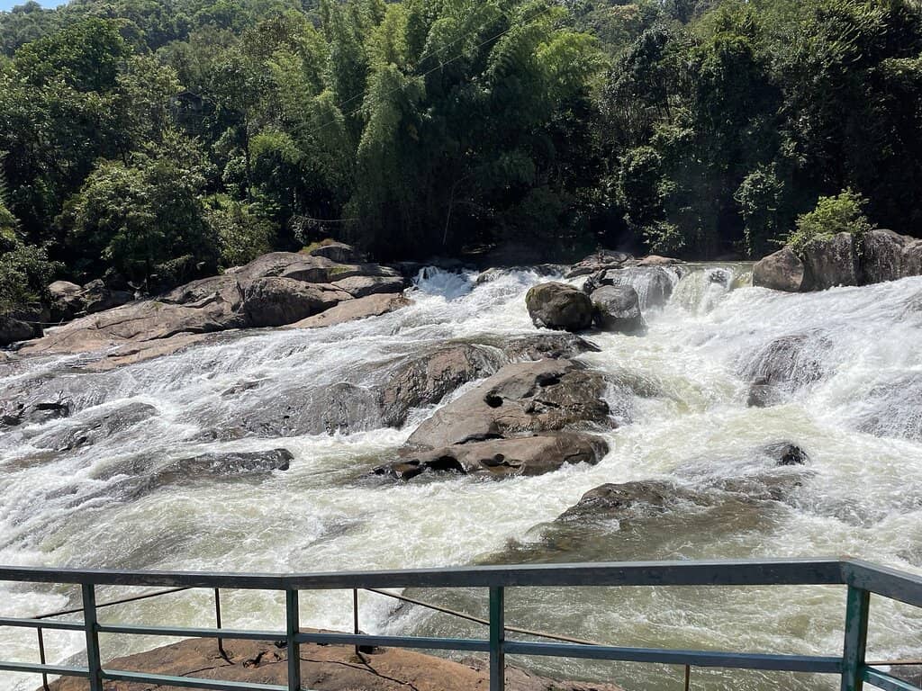 Lush Green Surroundings