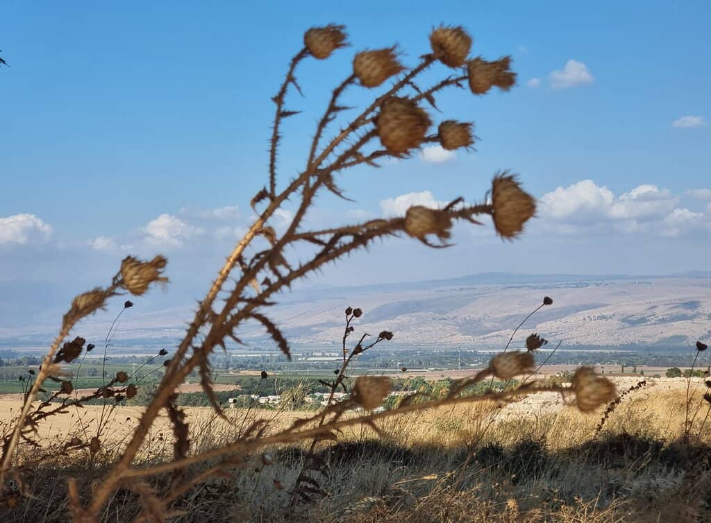 High Place with Cultic Monoliths