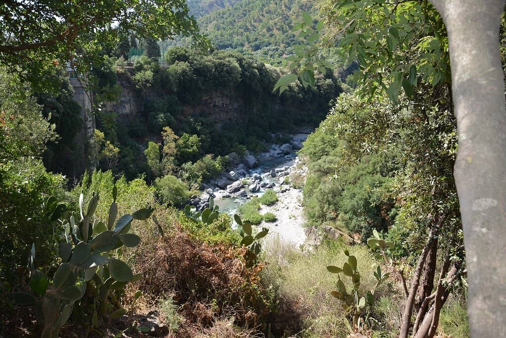 Crystal-Clear River Waters