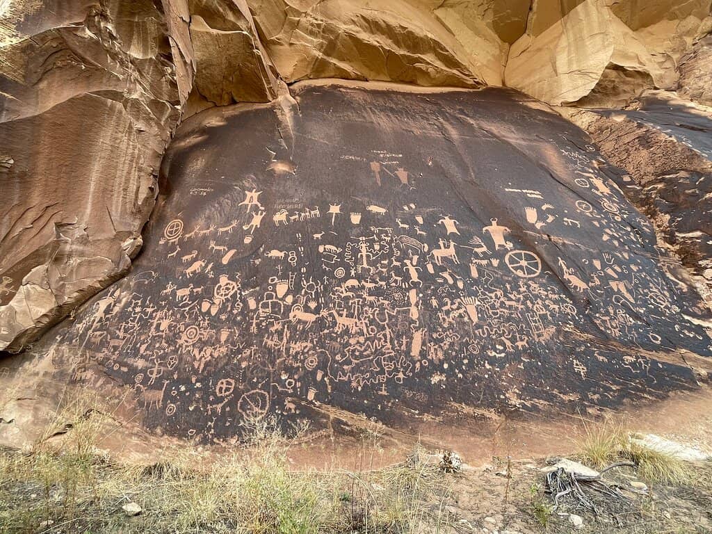 Interpretive Information