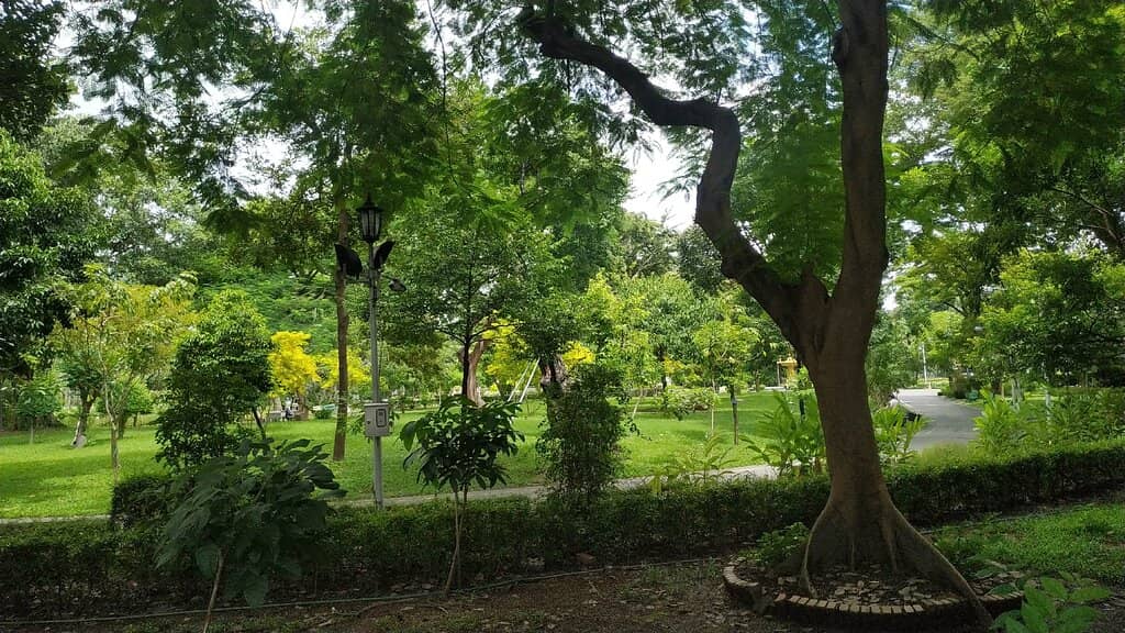 Monitor Lizard Spotting