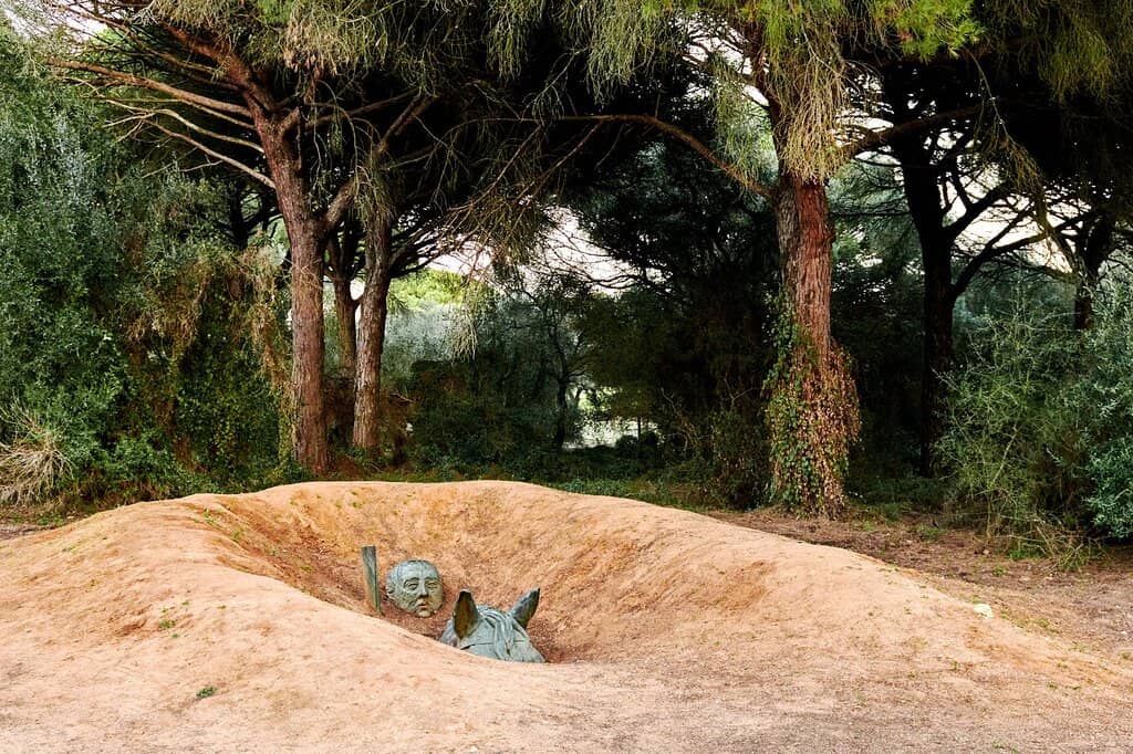 Family and Pet-Friendly Exploration