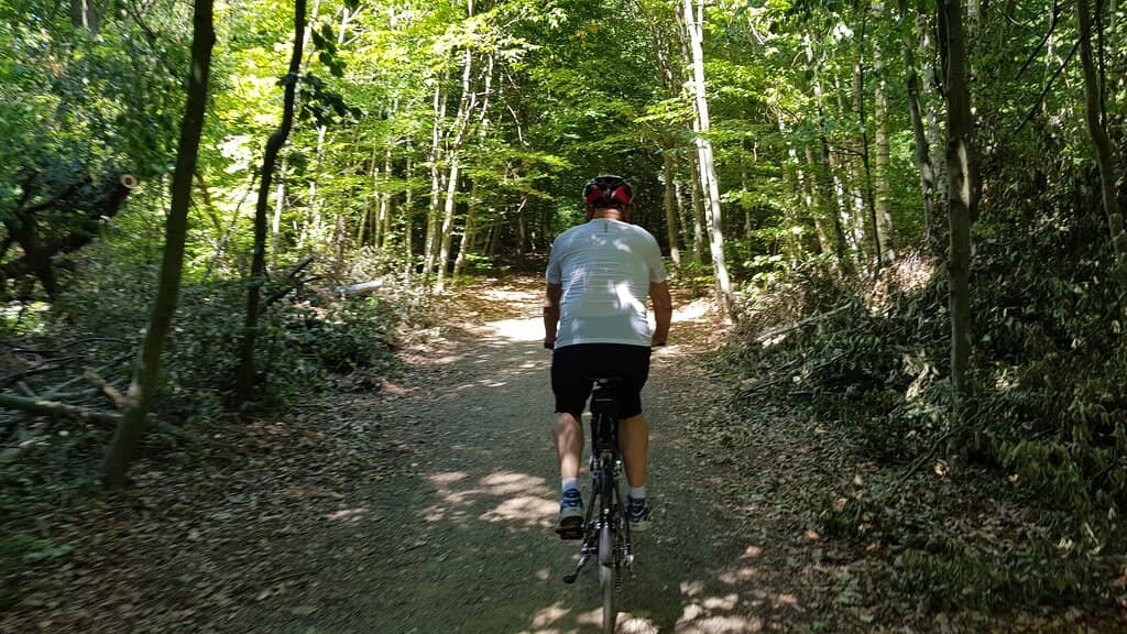Teltow Cherry Blossoms