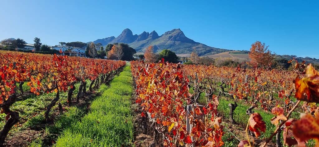 Thoroughbred Stud Farm