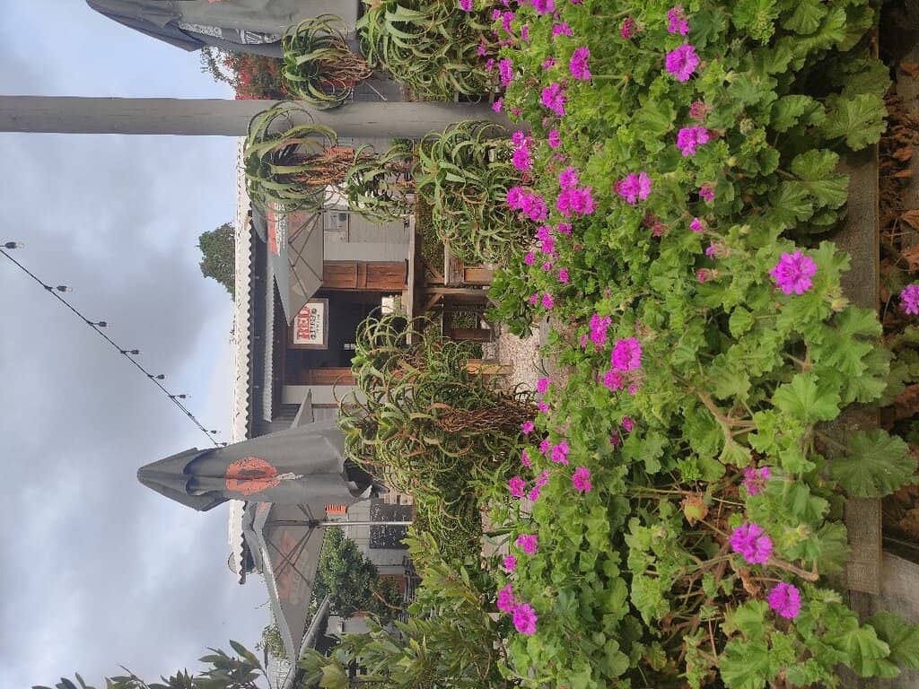 Scenic Cycling Route