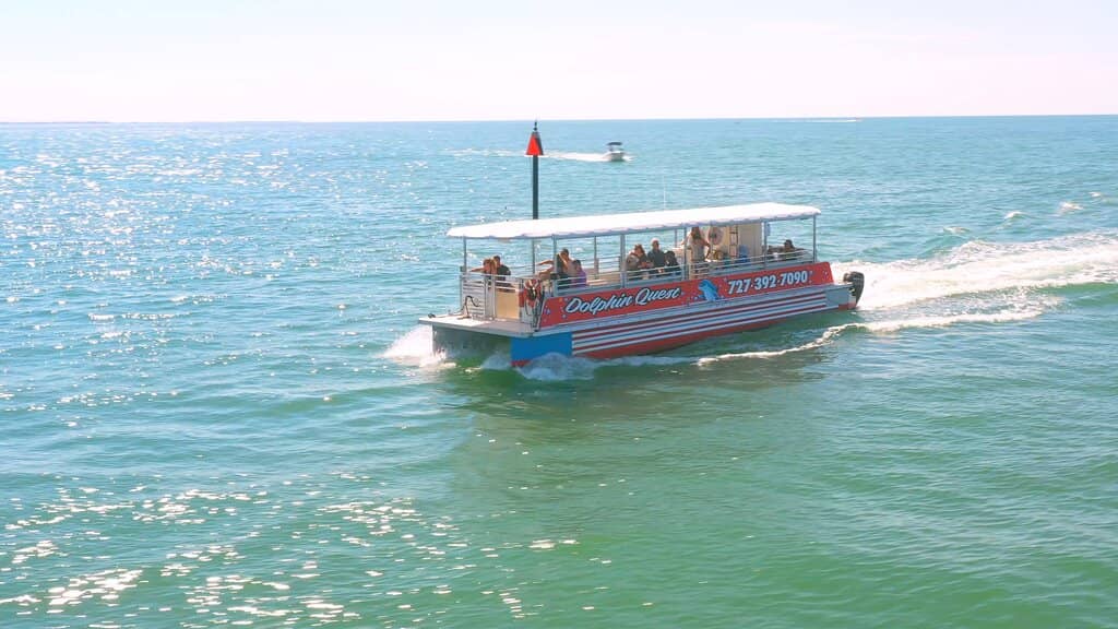 Dolphin Sightings Galore