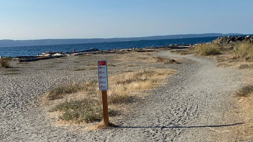 Dolphin Watching Tours