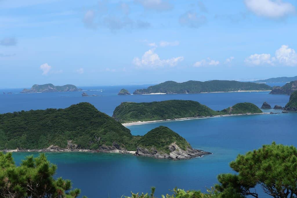Picnic Spot with a View