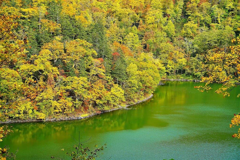 Autumn Foliage Trail