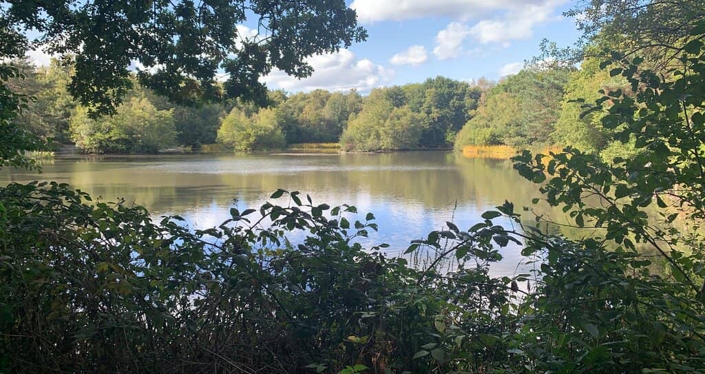 Lightwater Adventure Golf