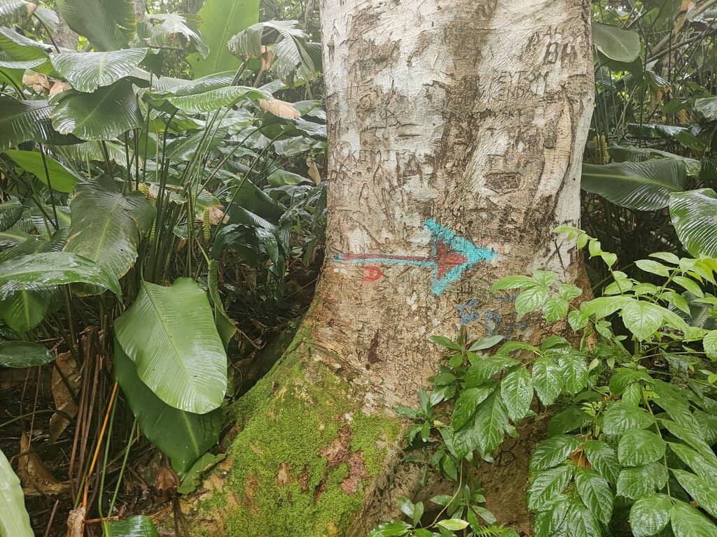 Family-Friendly Adventure